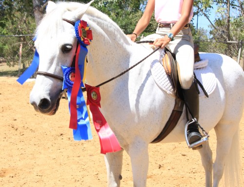 Santa Barbara National Hunter-Jumper Show