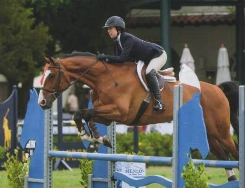 2014 Menlo Charity Horse Show